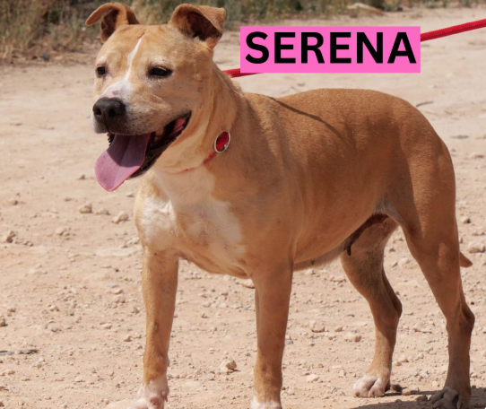 Séréna