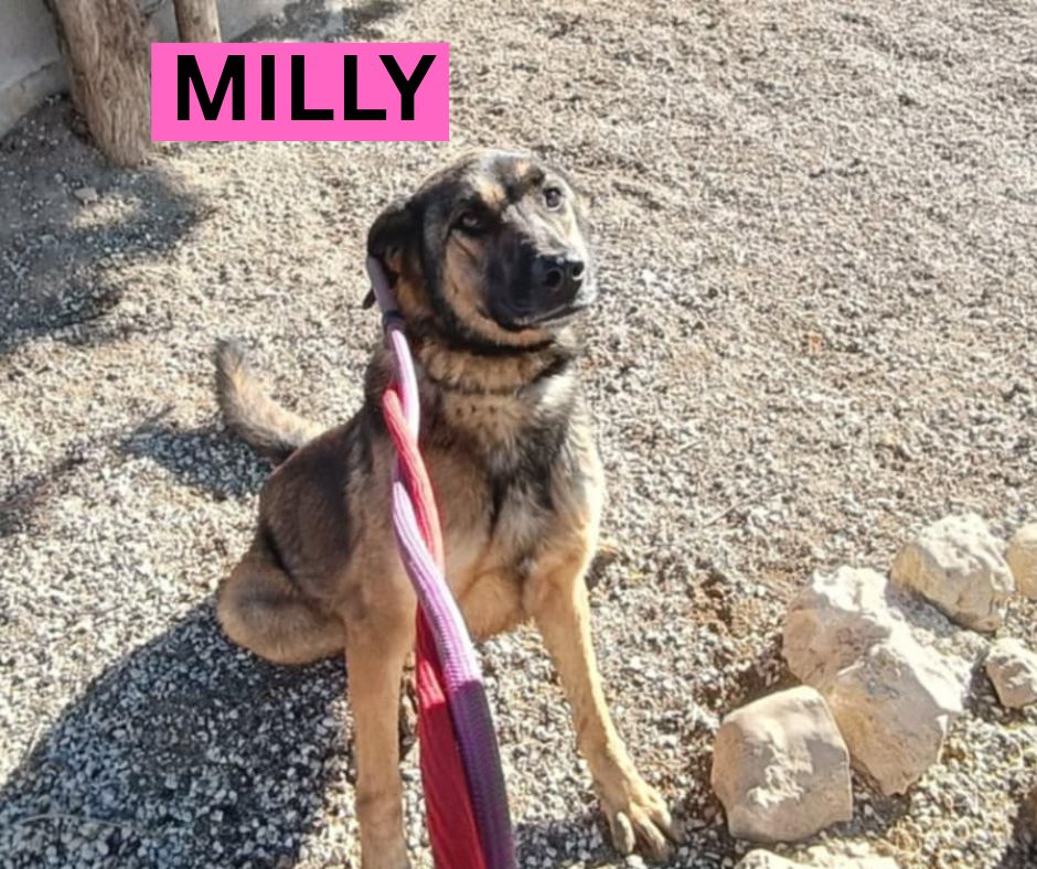 MILLY-1-PROFILE